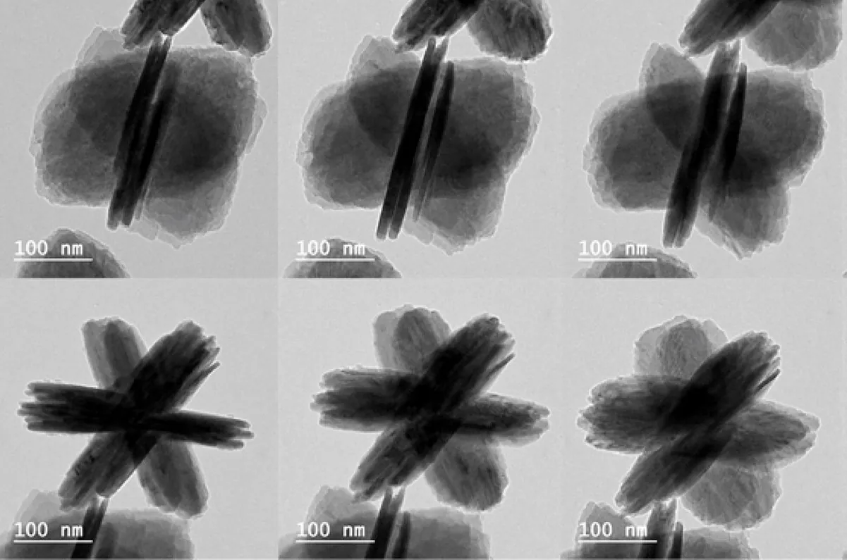 Transmission electron microscopy image of star-shaped nanoparticles